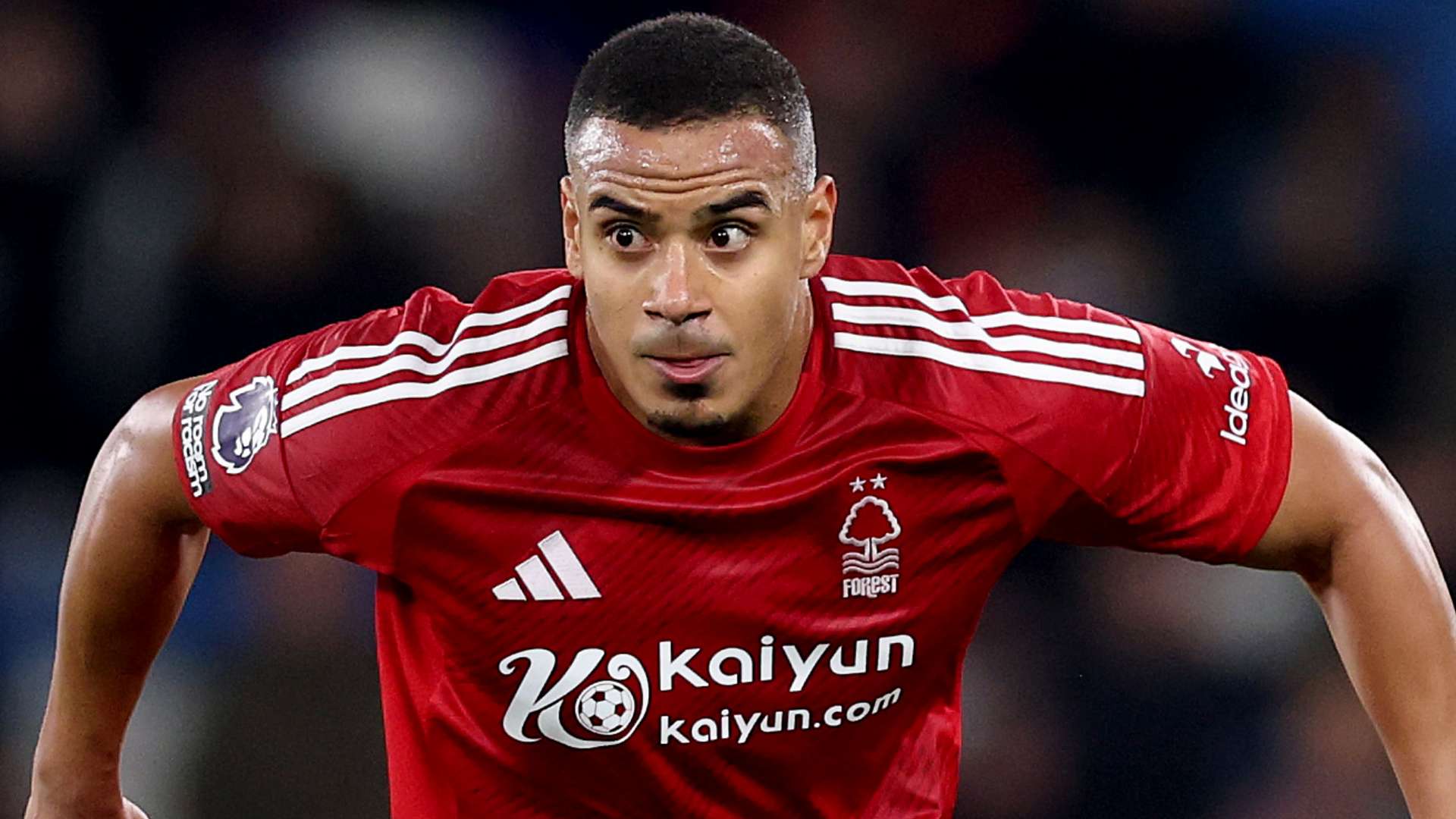 綠茵場上的 綠茵場上的